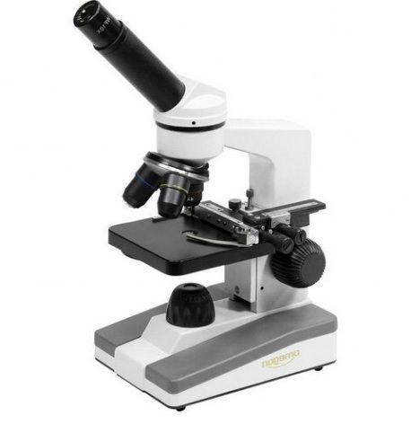 Meloso desaparecer contrabando Cual es la Función del Microscopio -【 Tipos de Microscopios 】