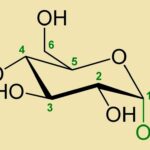 glucosa formula